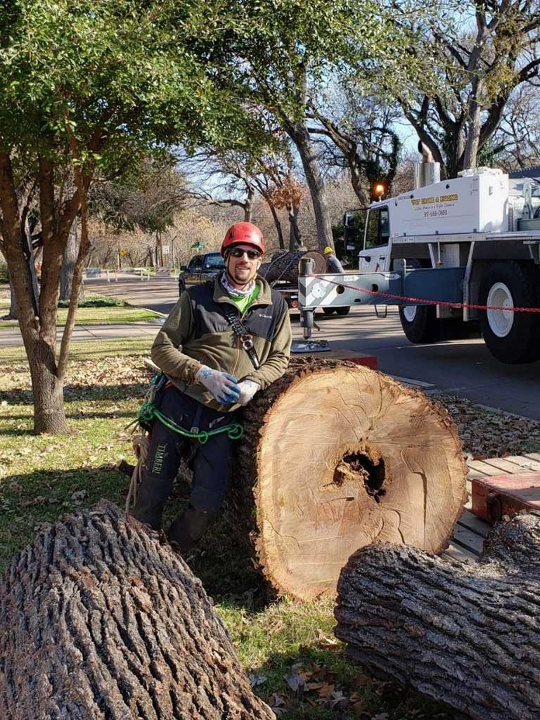 Work zone setup for tree care around residential property features.